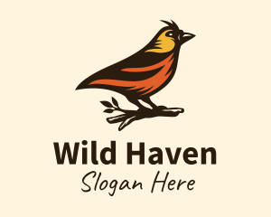 Tree Robin Bird logo design