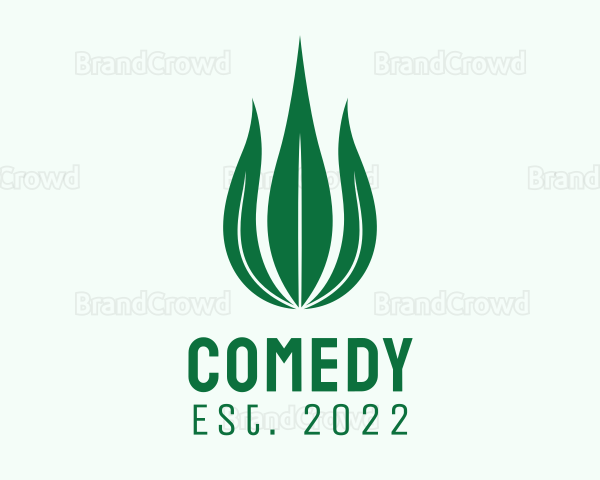 Natural Leaf Droplet Logo