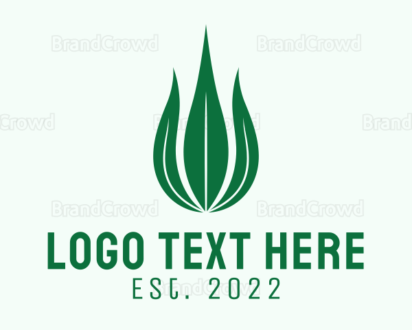 Natural Leaf Droplet Logo