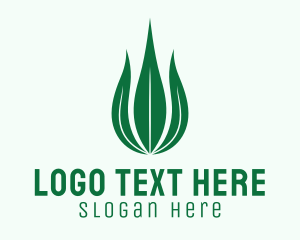 Natural Leaf Droplet Logo