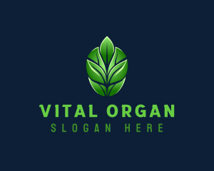 Organic Nature Leaf logo design