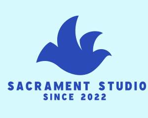 Sacrament - Blue Dove Bird logo design