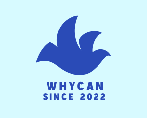 Flying - Blue Dove Bird logo design