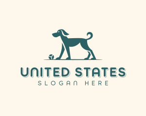 Dog Training Veterinary Logo