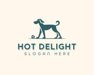 Dog Training Veterinary logo design