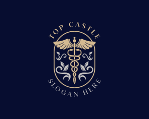 Medical Caduceus Hospital Logo
