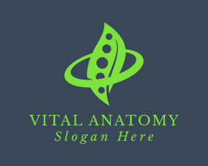 Anatomy - Chiropractor Healthcare Clinic logo design