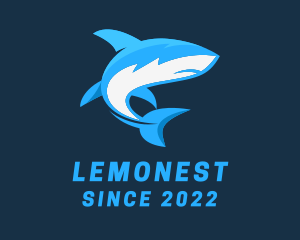 Marine - Aquatic Marine Shark logo design