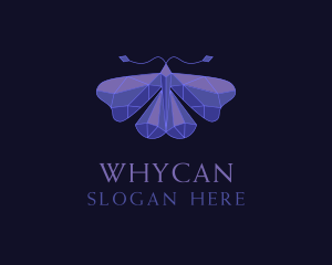  Elegant Geometric Butterfly Logo