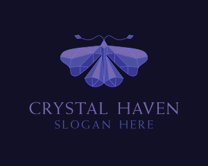  Elegant Geometric Butterfly logo design