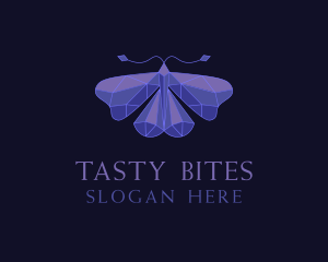 Apparel - Elegant Geometric Butterfly logo design