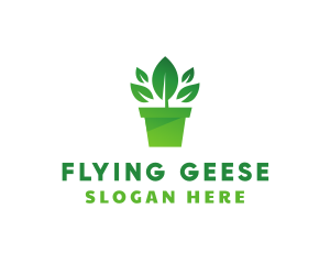 Green Leaf Pot  logo design