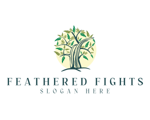 Feather Tree Nature  logo design