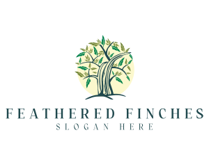 Feather Tree Nature  logo design