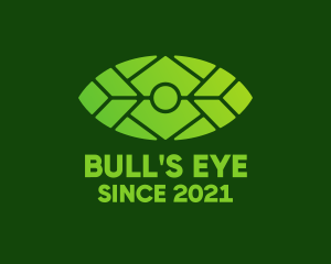 Green Environmental Eye  logo design