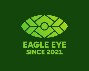 Green Environmental Eye  logo design