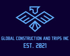 Birdwatcher - Geometric Eagle Airline logo design
