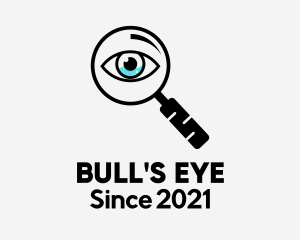 Vision Detective Eye  logo design