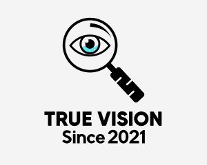 Vision Detective Eye  logo design