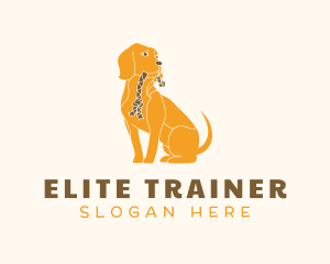 Dog Toy Pet Care logo design