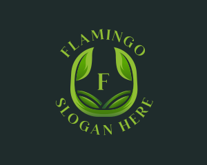 Organic Botanical Leaf logo design