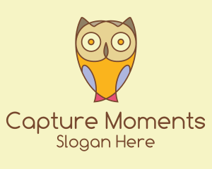 Tutorial Center - Colorful Owl Cartoon logo design