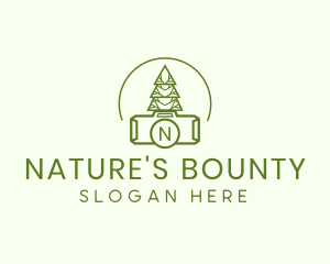 Nature Tree Photography logo design