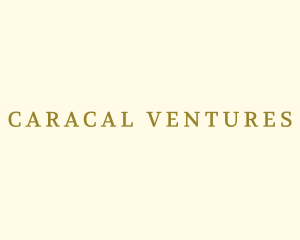 Classy Luxury Font  logo design