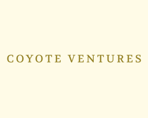 Classy Luxury Font  logo design