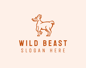 Wild Coyote Animal  logo design