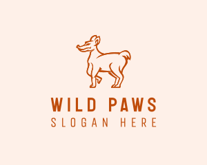 Wild Coyote Zoo logo design