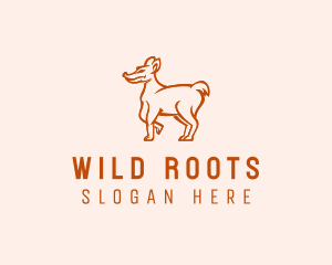 Wild Coyote Zoo logo design