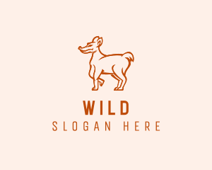 Wild Coyote Animal  logo design