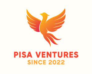 Burning Phoenix Bird logo design