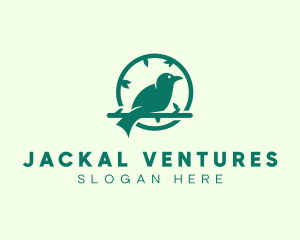 Green Forest Bird logo design