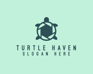 Camera Shutter Turtle logo design