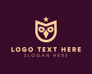 Nocturnal - Star Owl Bird logo design