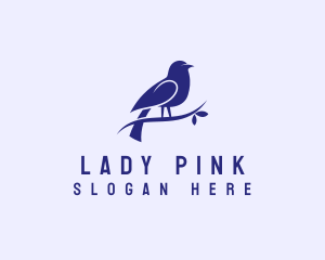 Sparrow Bird Aviary Logo