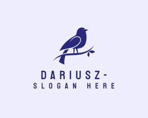 Sparrow Bird Aviary Logo