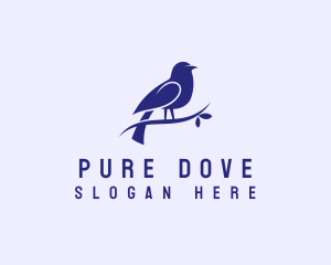 Sparrow Bird Aviary logo design