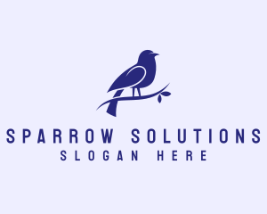 Sparrow Bird Aviary logo design