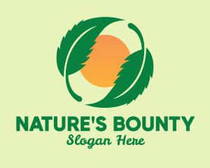 Natural Sun Leaves logo design