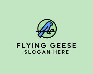 Green Pet Bird  logo design