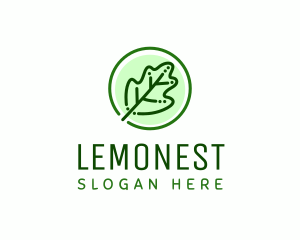 Oak Leaf Outline Logo