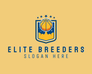 Basketball Team Sport logo design