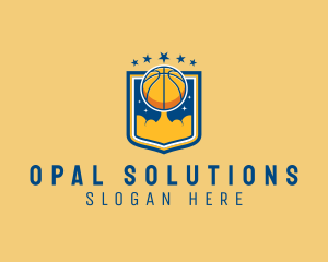 Basketball Ball Emblem logo design