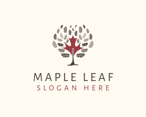 Autumn Maple Tree logo design