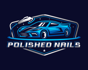 Car Auto Detailing logo design