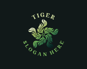 Organic Herbal Leaves  Logo