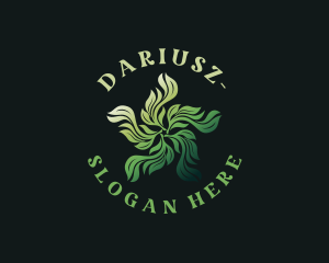 Organic Herbal Leaves  Logo